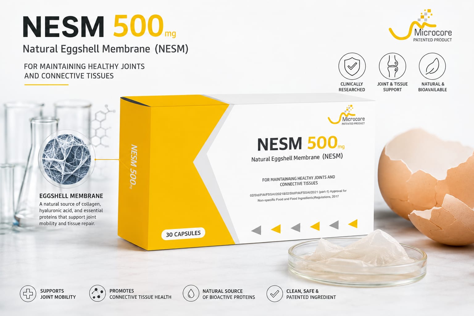 NESM 500