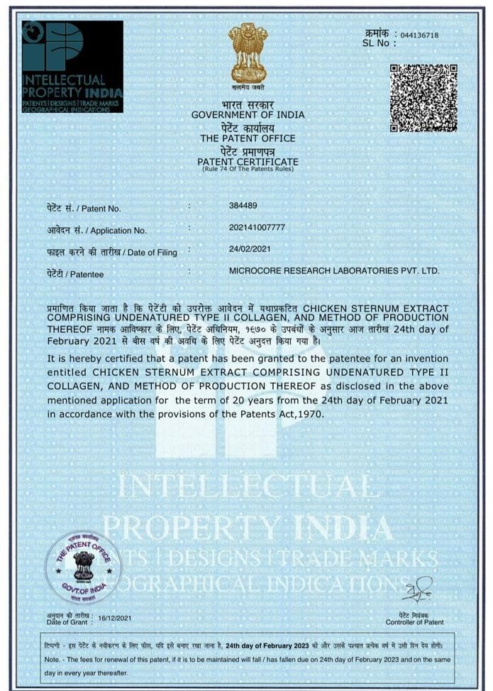 Microcore Patent Certificate