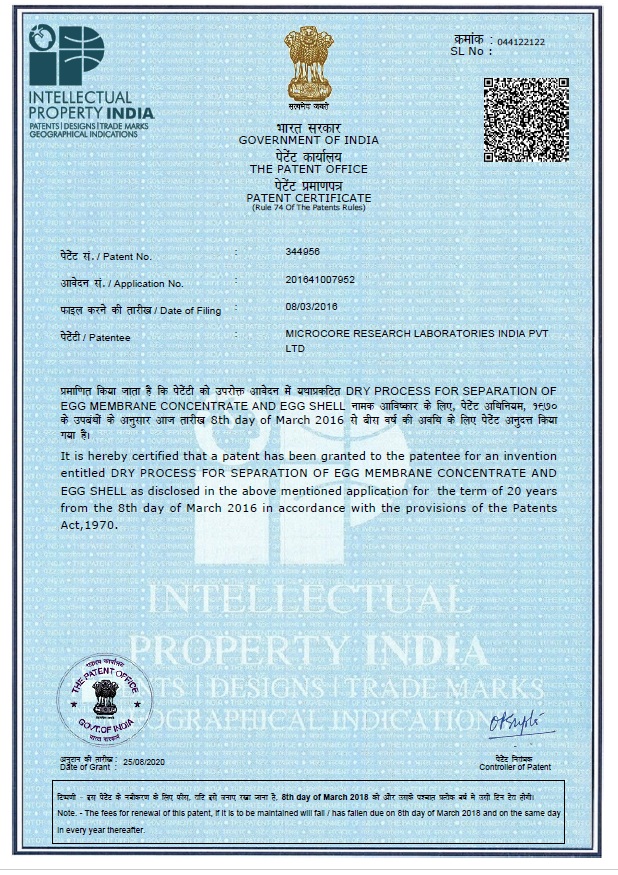 Microcore Patent Certificate