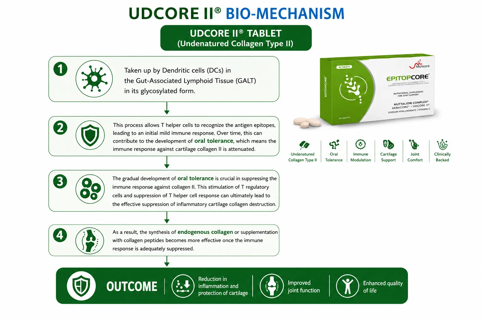 UDCORE II® Bio-Mechanism Diagram
