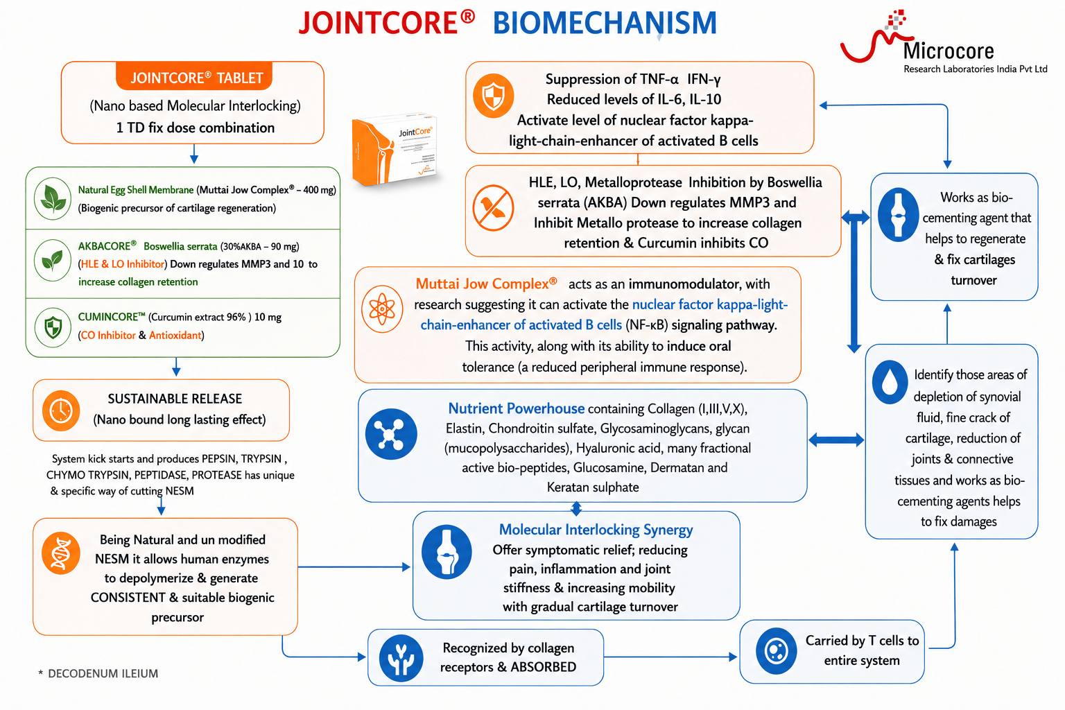 Jointcore® Bio-Mechanism Diagram